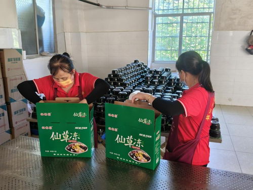 年順食品廠 守護(hù)贛南餐桌安全，共筑健康生活新未來